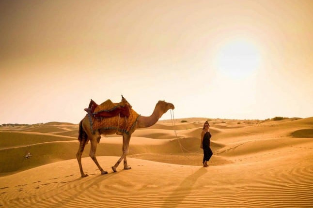 Jaisalmer Travel Guide | Golden Fort & Thar Desert