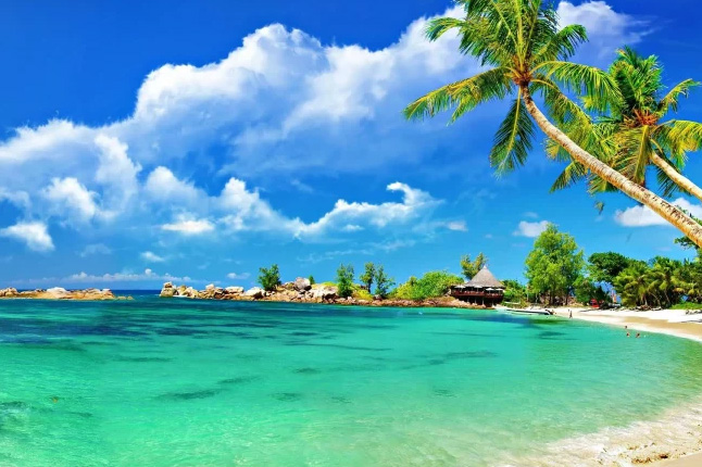 Goa Travel Guide | Beaches, Culture & Coastal Charm