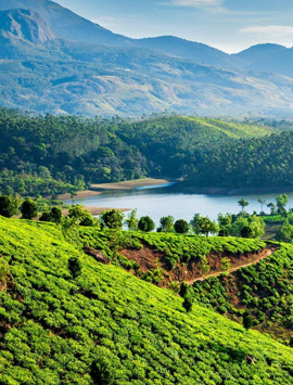 8 Days Kerala Backwaters, Hill Stations & Kovalam Beach Tour with Houseboat Stay