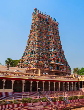 7 Days Kerala Hill Stations, Wildlife & Backwater Houseboat Tour