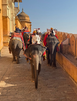 16 Days Ultra Luxury Rajasthan Tour with Heritage Castles & Palace Stays